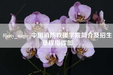 宣威中国消防救援学院简介及招生章程指挥部