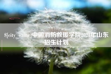 宣威中国消防救援学院2021年山东招生计划