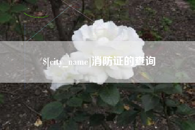 宣威消防证的查询