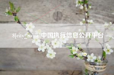 宣威中国执行信息公开平台