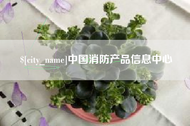 宣威中国消防产品信息中心