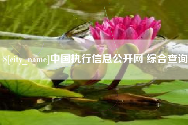 宣威中国执行信息公开网 综合查询
