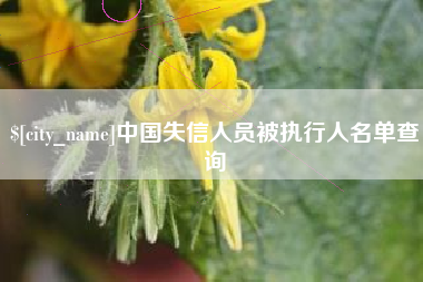 宣威中国失信人员被执行人名单查询