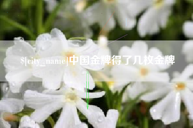 宣威中国金牌得了几枚金牌