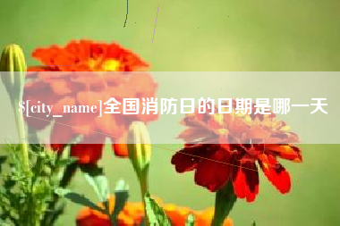 宣威全国消防日的日期是哪一天