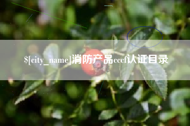 宣威消防产品cccf认证目录