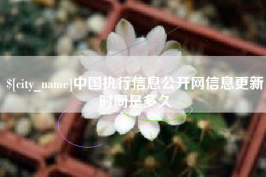 宣威中国执行信息公开网信息更新时间是多久