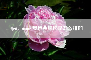 宣威奥运金牌榜是怎么排的