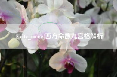 宣威西方命数九宫格解析