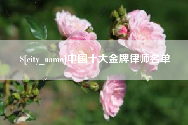 宣威中国十大金牌律师名单