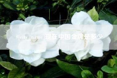 宣威现在中国金牌是多少