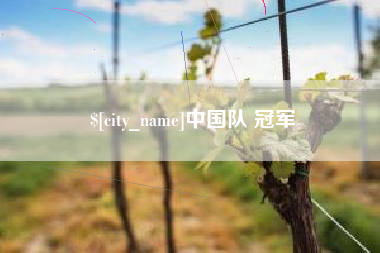 宣威中国队 冠军