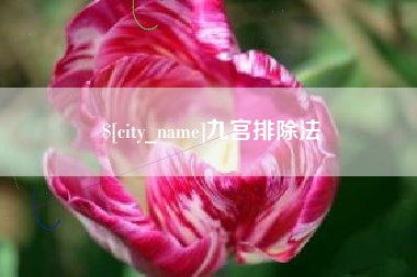 宣威九宫排除法