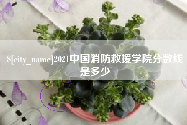 宣威2021中国消防救援学院分数线是多少
