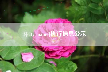 宣威执行信息公示