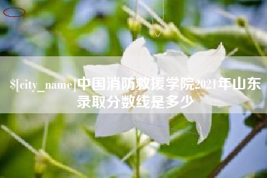宣威中国消防救援学院2021年山东录取分数线是多少