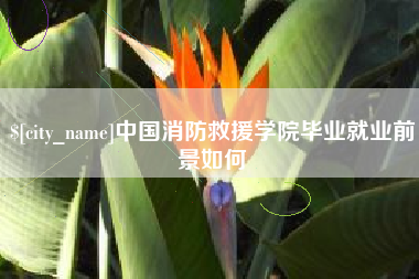 宣威中国消防救援学院毕业就业前景如何