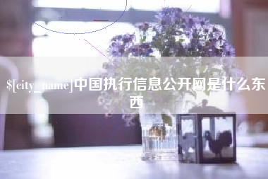 宣威中国执行信息公开网是什么东西