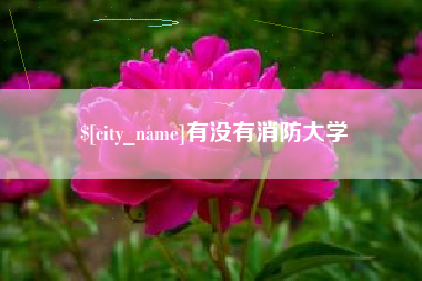 宣威有没有消防大学