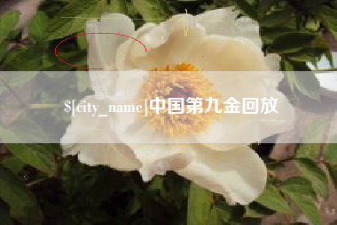 宣威中国第九金回放