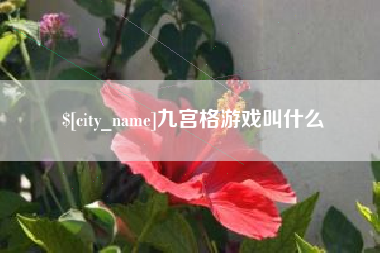 宣威九宫格游戏叫什么
