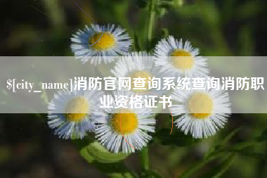 宣威消防官网查询系统查询消防职业资格证书
