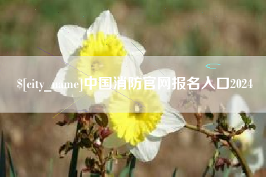 宣威中国消防官网报名入口2024