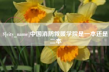 宣威中国消防救援学院是一本还是二本