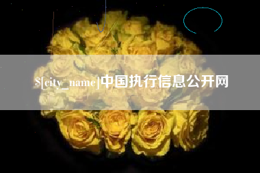 宣威中国执行信息公开网