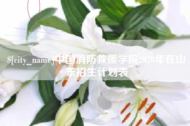 宣威中国消防救援学院2020年在山东招生计划表