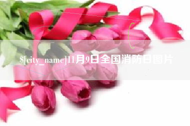 宣威11月9日全国消防日图片