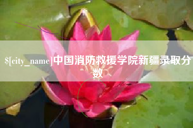 宣威中国消防救援学院新疆录取分数