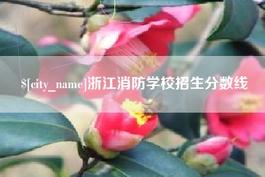 宣威浙江消防学校招生分数线
