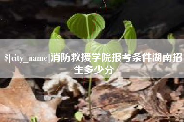 宣威消防救援学院报考条件湖南招生多少分