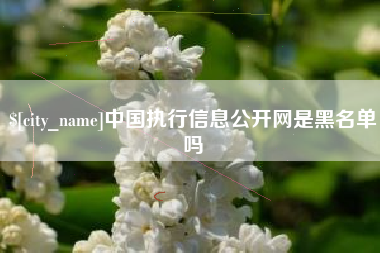 宣威中国执行信息公开网是黑名单吗
