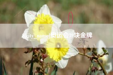 宣威奥运会39块金牌