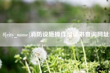 宣威消防设施操作员证书查询网址