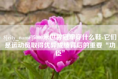 宣威5000米世界冠军穿什么鞋-它们是运动员取得优异成绩背后的重要“功臣”