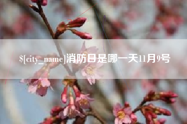 宣威消防日是哪一天11月9号