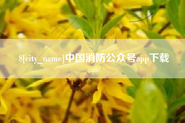 宣威中国消防公众号app下载
