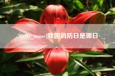 宣威我国消防日是哪日
