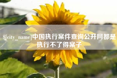 宣威中国执行案件查询公开网都是执行不了得案子