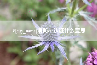 宣威消防ccc认证什么意思