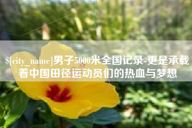宣威男子5000米全国记录-更是承载着中国田径运动员们的热血与梦想