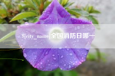 宣威全国消防日哪一