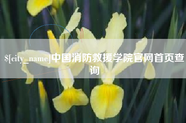 宣威中国消防救援学院官网首页查询
