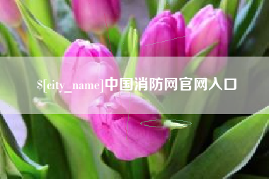 宣威中国消防网官网入口