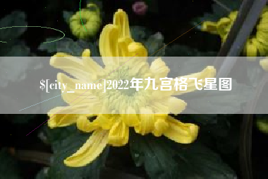 宣威2022年九宫格飞星图