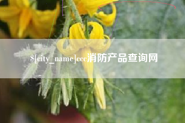 宣威ccc消防产品查询网