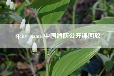 宣威中国消防公开课回放